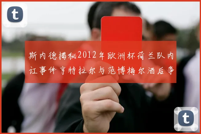 斯内德揭秘2012年欧洲杯荷兰队内讧事件亨特拉尔与范博梅尔酒后争执内幕