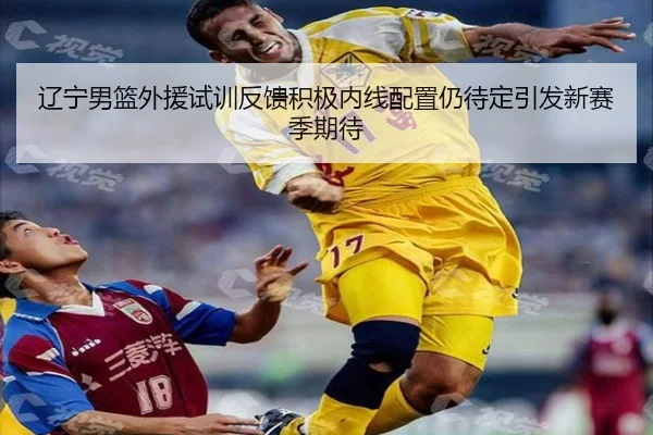 辽宁男篮外援试训反馈积极内线配置仍待定引发新赛季期待